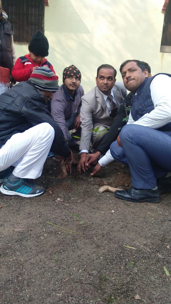 Plantation Drive