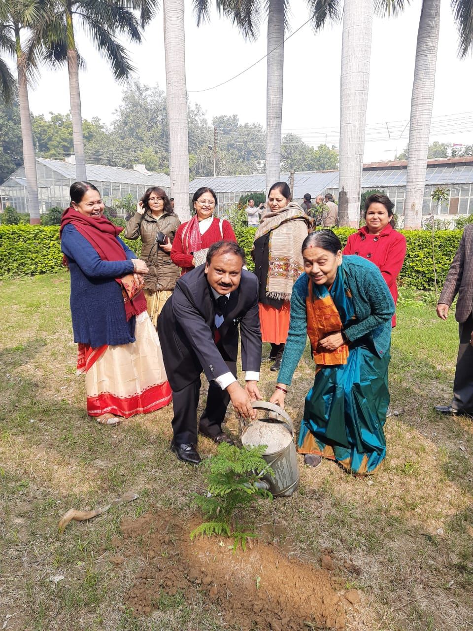 Plantation Drive