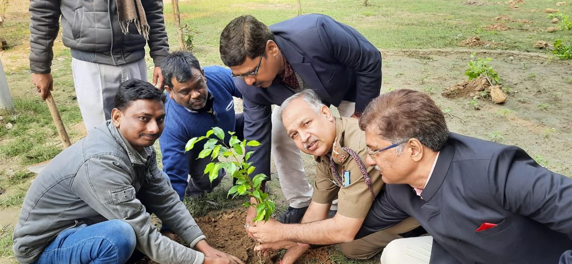 Plantation Drive