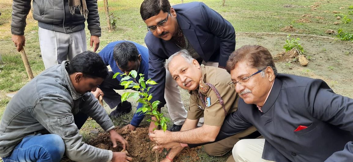 Plantation Drive