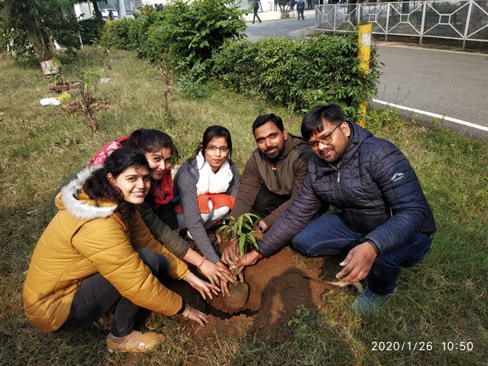 Plantation Drive