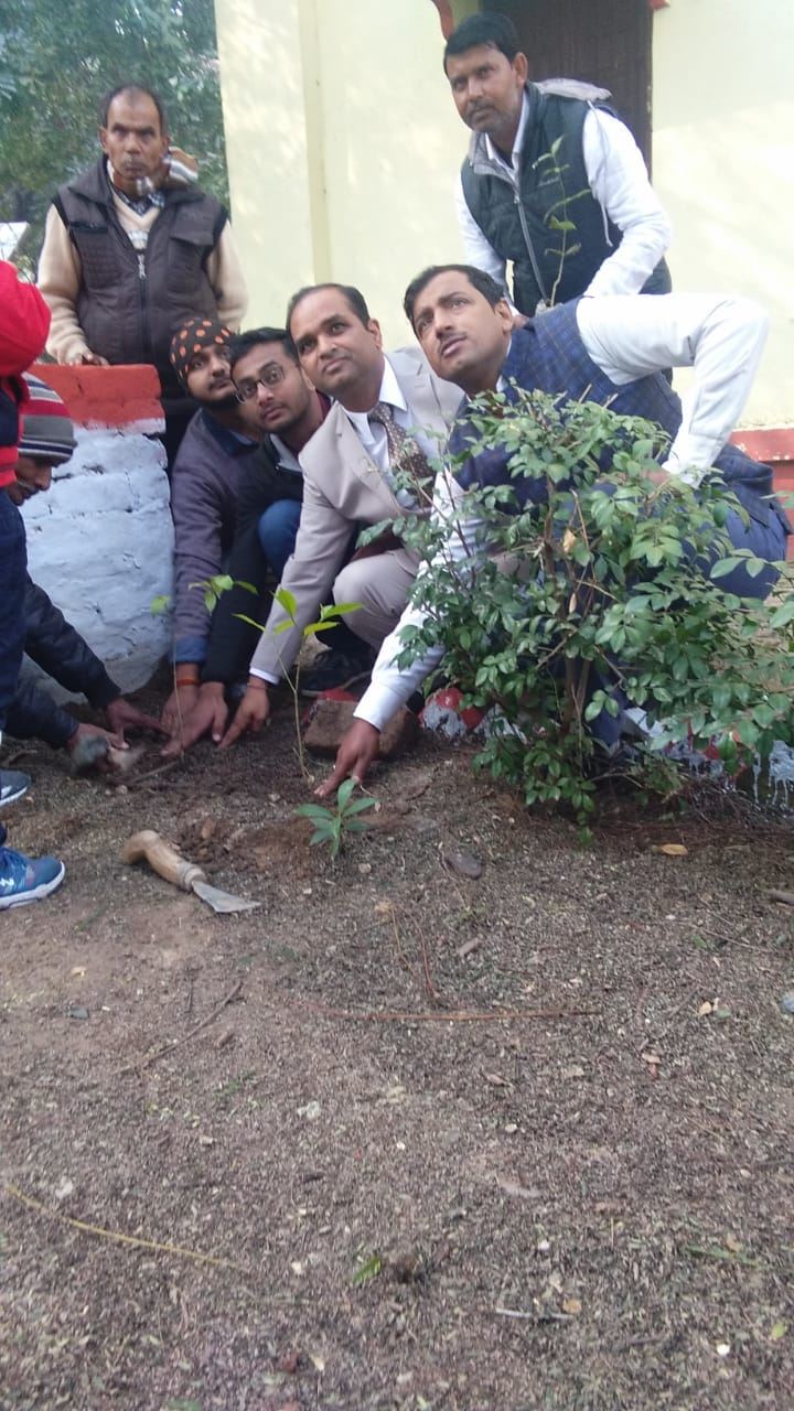 Plantation Drive