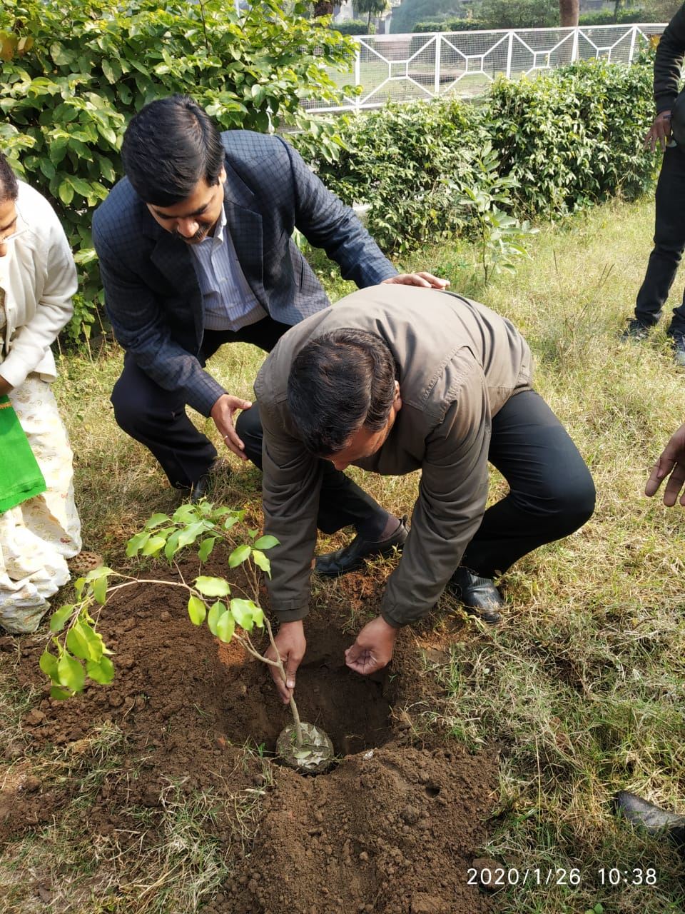 Plantation Drive