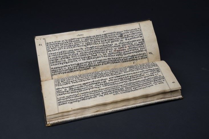 Paper Manuscript